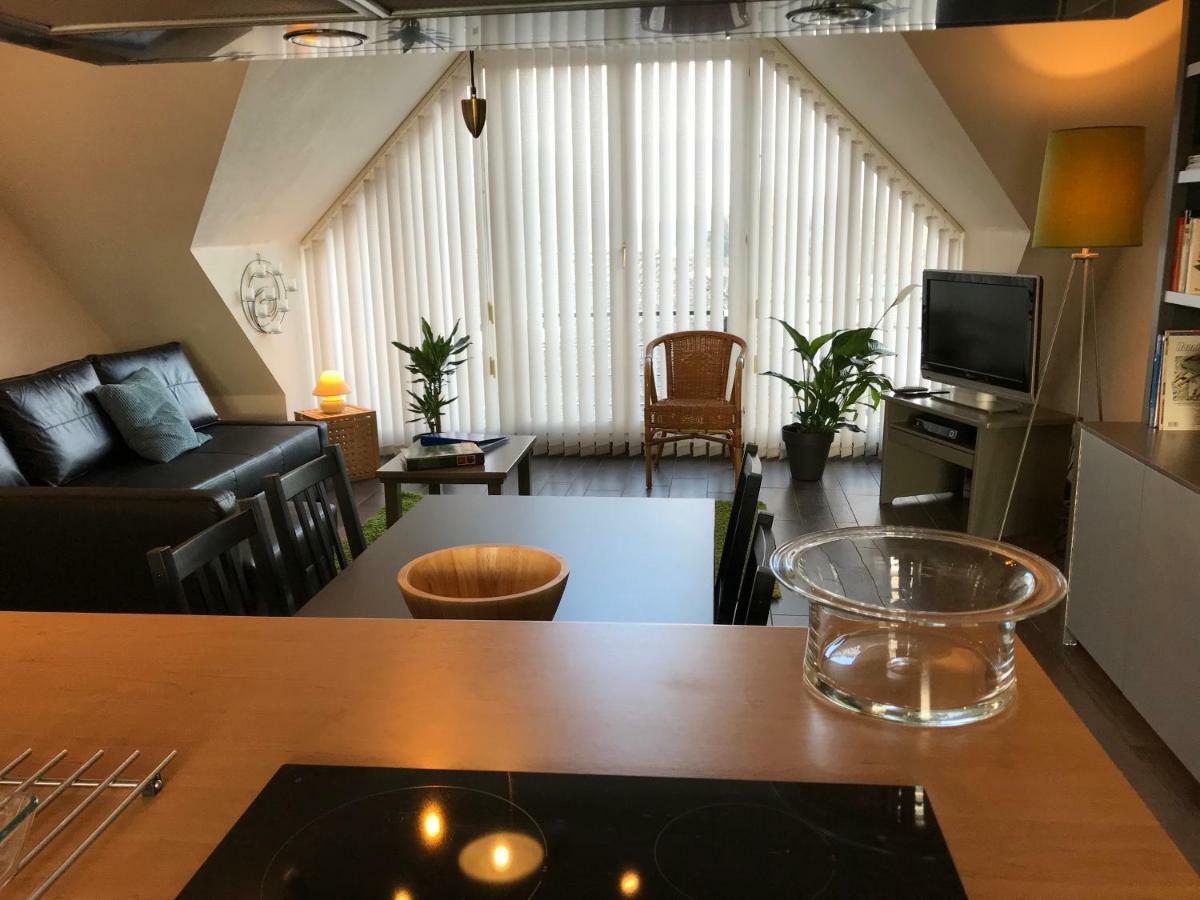 Comfortabel Dakappartement Met Zicht Op Jachthaven Turnhout Kültér fotó